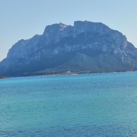 Aria Di Vacanza - Molara Loiri Porto San Paolo 外观 照片