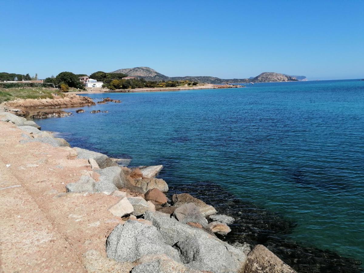 Aria Di Vacanza - Molara Loiri Porto San Paolo 外观 照片