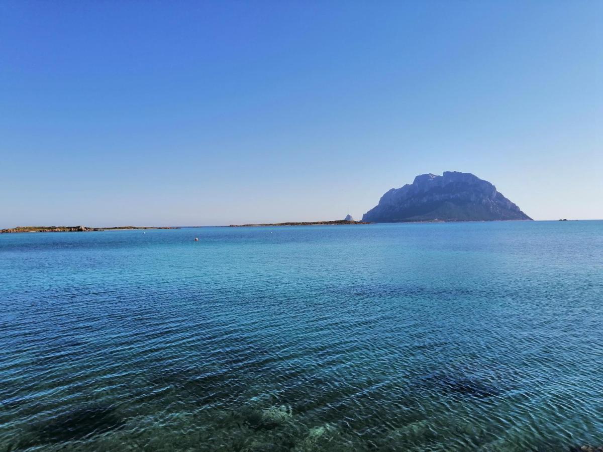 Aria Di Vacanza - Molara Loiri Porto San Paolo 外观 照片